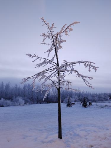 �������� ����