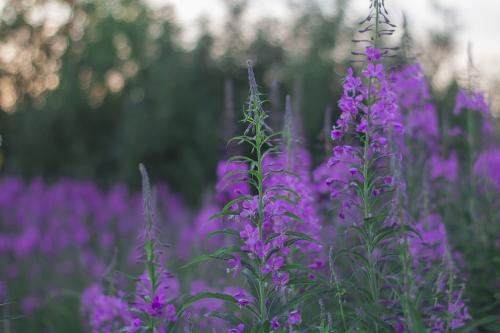 ����-���