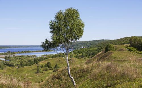 �������� ������ � �������� �������