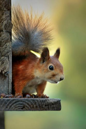 ��������? 