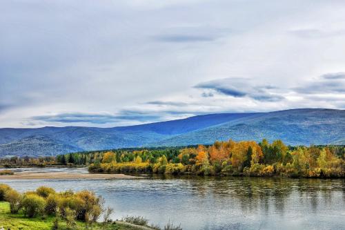 � �������