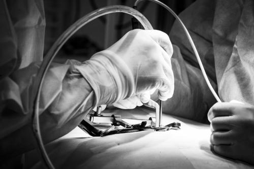 ������������ ������������