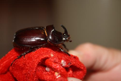 ��� ��� ���������!