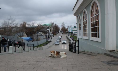 ����� ��������