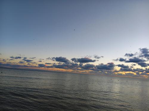 �� ������ ���