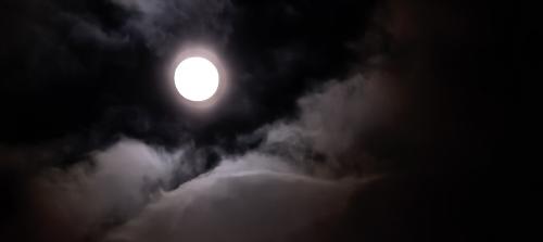 ������ �����