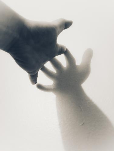 ���� ����