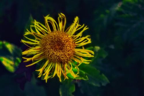 Ƹ���� ������ �������� 4