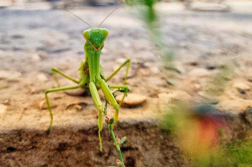 �������