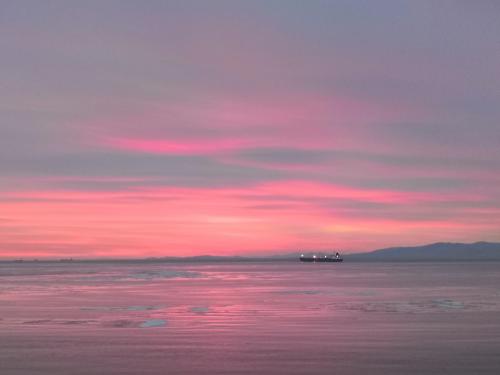 ������� ����� 