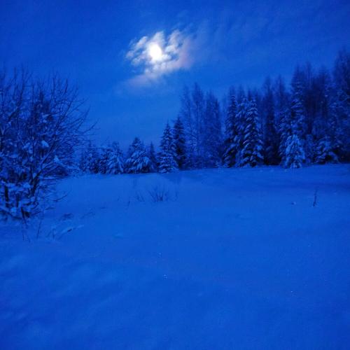 ������ ����