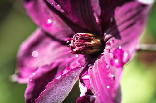 ����� �����