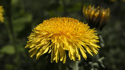 ��������� ������