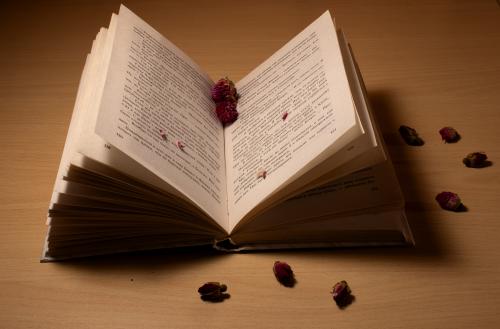 ����� �����