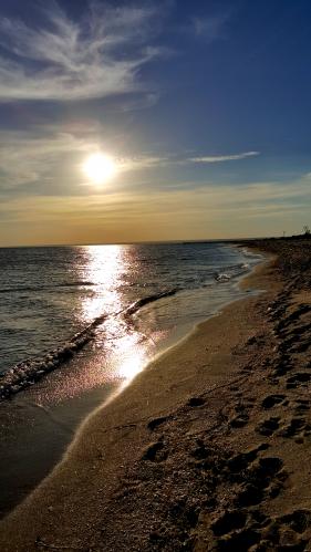 ������ � ������