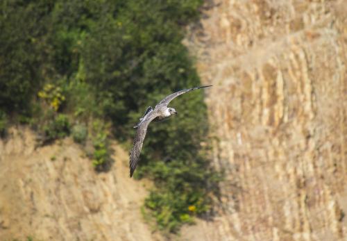 � ����� ���������