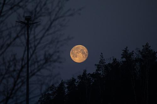 ���� �������