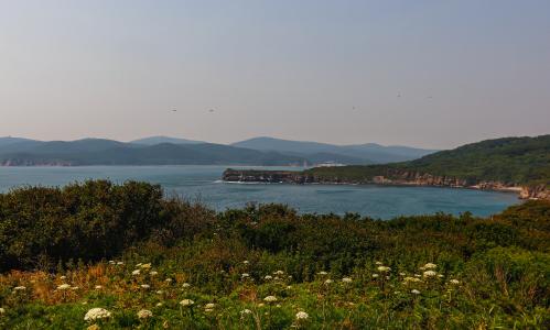 ������ ���� �� ��������� 