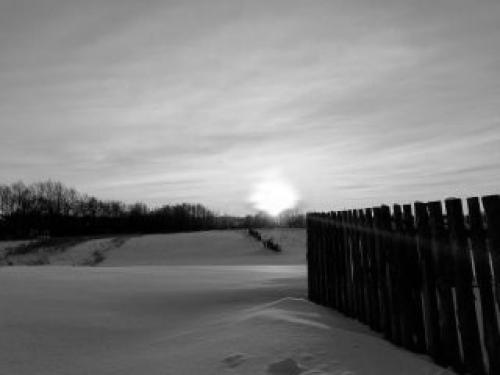 ������ ����