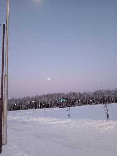 ������� ����