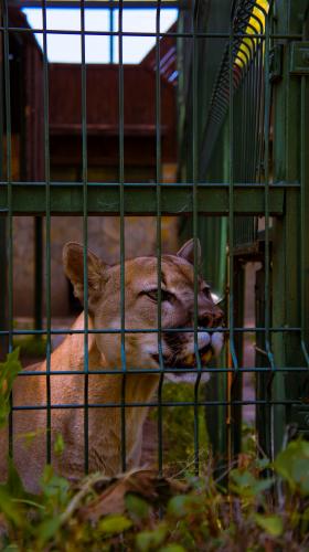 ���� � ��������