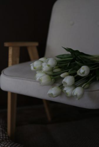 ����� �������� 