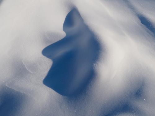 ���������- ����