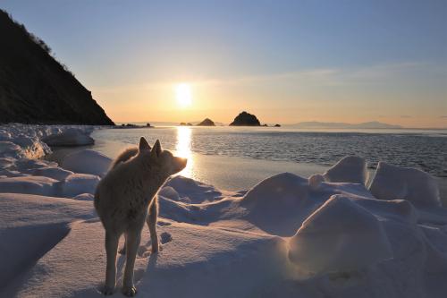 �� ���� �����. ����� ��������. �������