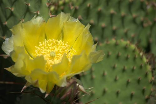 �������