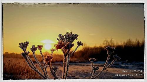 ����� � ����