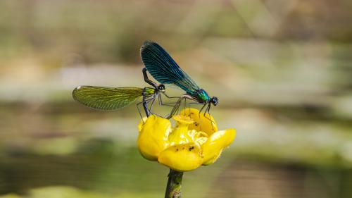 � ���� ��� ������?!