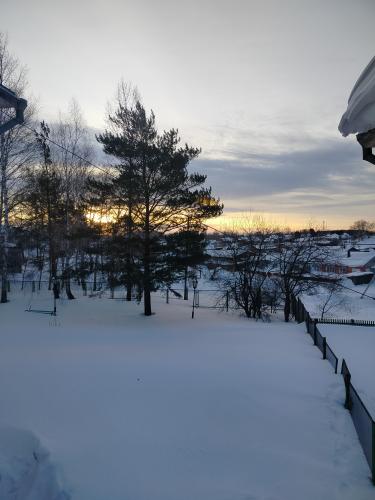 ������ ����