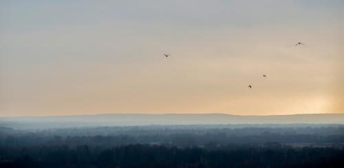 ����������� ������