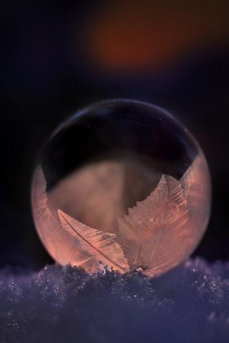 ������� ����. 