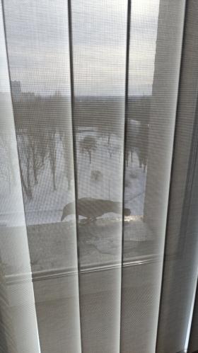 �� ������ �������, ������ ���� ������...