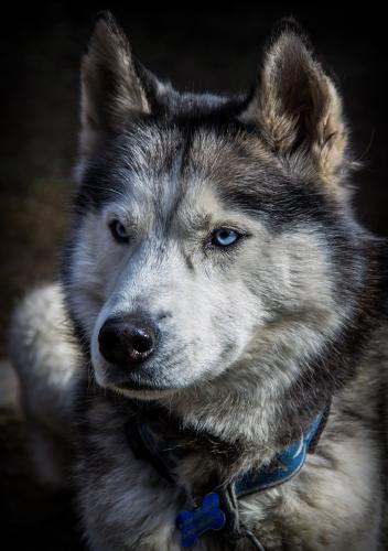 �������