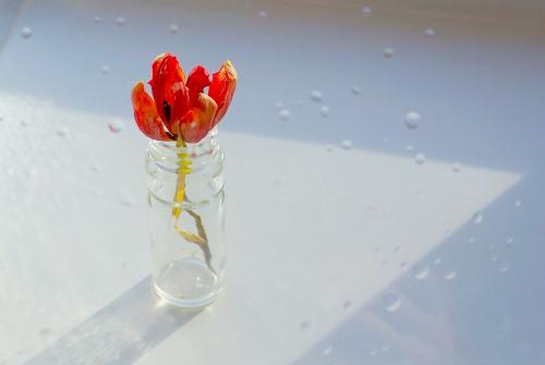 ��� �������