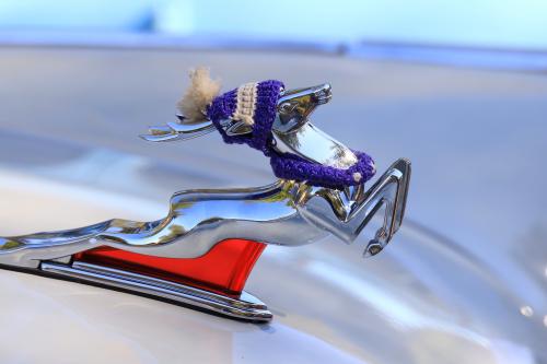 ����, �������