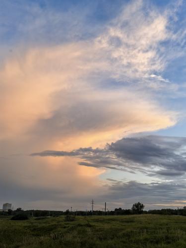 ������ �� ������