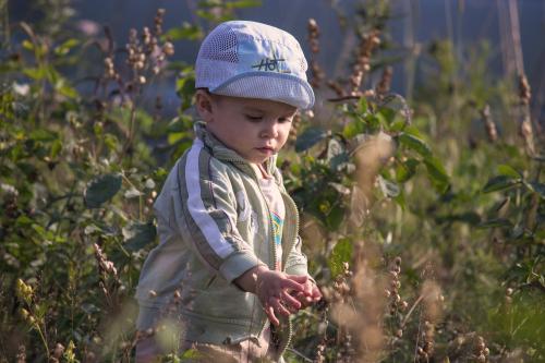 ����� ������� ���