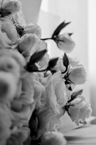 ����� ����� ���