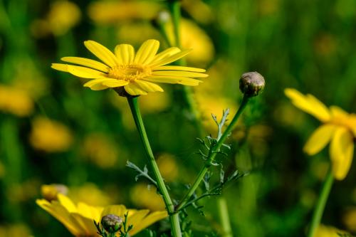 �������