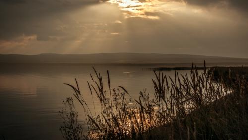 ����� ����