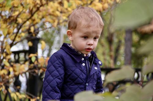 ������� ��������� 