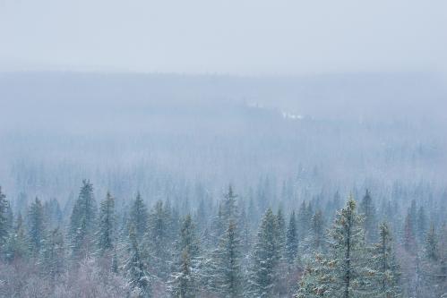 ������ ���