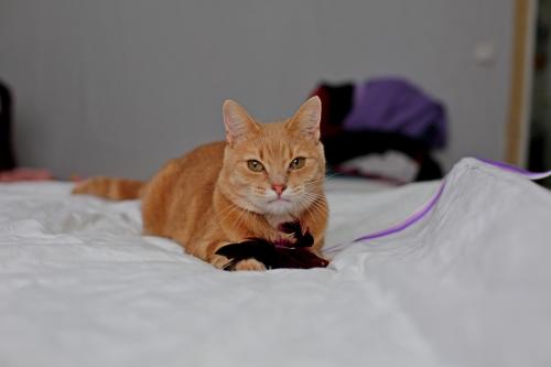 ��������?