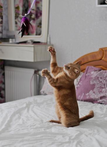 � ���� �����