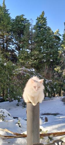 ����� ��������� 