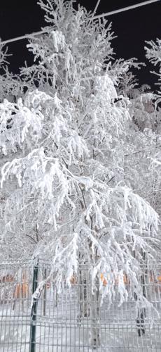 ������� � ��������