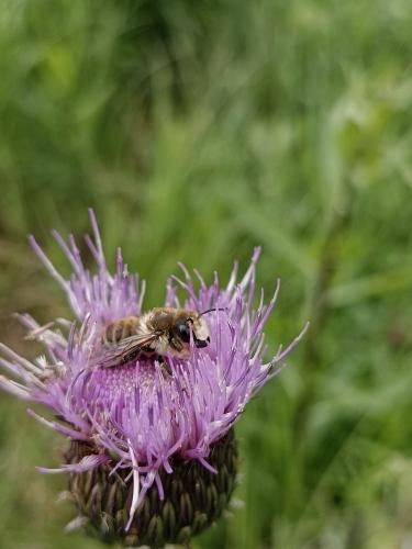 ���������� �����